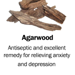 Agarwood