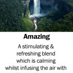 Amazing2