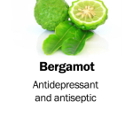 Bergamot