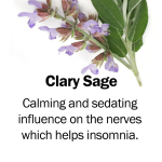 Clary sage