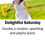 Delightful Saturday