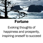 Fortune