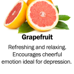 Grapefruit