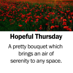 Hopeful Thursday