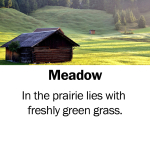 Meadow