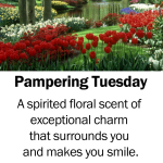 Pampering Tuesday