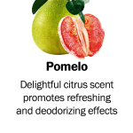 Pomelo