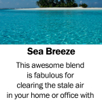 Sea Breeze