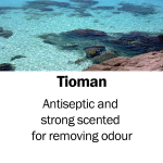 Tioman