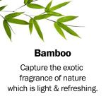 bamboo2