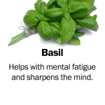 basil