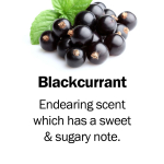 blackcurrant
