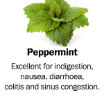 peppermint