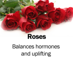 roses