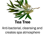 tea tree