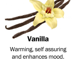 vanilla