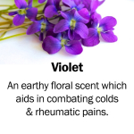 violet
