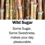 wildsugar