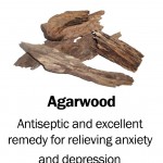 agarwood