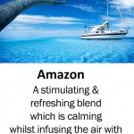 amazing