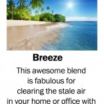 breeze