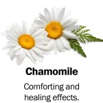 chamomile