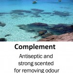 complement
