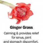ginger-grass2