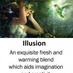 illusion