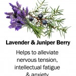 lavenderjuniperberry