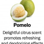 pomelo