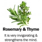 rosemarythyme