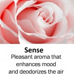 sense