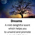 sweet-dreams