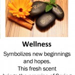 wellness