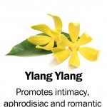 ylang-ylang