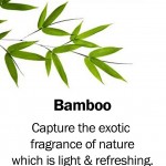 bamboo2