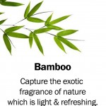 bamboo2