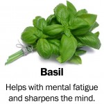 basil