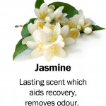 jasmine