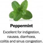 peppermint