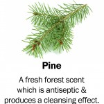 pine2