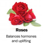 roses
