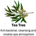 tea-tree