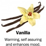 vanilla