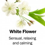 white-flower